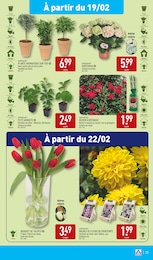 Offre Plantes dans le catalogue Aldi du moment à la page 38