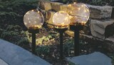 Solar-Kugel im Angebot bei toom Baumarkt in Villingen-Schwenningen Solar-Kugel Angebote von toom bei toom Baumarkt Villingen-Schwenningen für 5,99 €