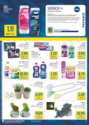 Aktueller diska Prospekt mit Textilreinigung, "alles an deinem ort.", Seite 10