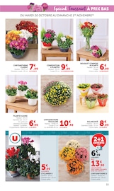 Promos Chrysanthèmes dans le catalogue "LES PRIX BAS Spécial Halloween" de Hyper U Chrysanthèmes en promo dans le catalogue Hyper U à la page 33