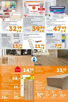 Wandfarbe im Globus-Baumarkt Prospekt "Immer eine Idee besser" mit 8 Seiten (Magdeburg)