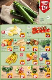 Tulpen im REWE Prospekt in Wiesbaden Aktueller REWE Prospekt mit Tulpen, "Dein Markt", Seite 9