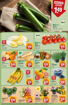Pflanzen im aktuellen REWE Prospekt (Wiesbaden) Pflanzen im REWE Prospekt "Dein Markt" mit 30 Seiten (Wiesbaden)