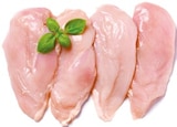 Aktuelles Frische Hähnchenbrustfilets Angebot bei Netto mit dem Scottie in Berlin ab 4,99 €