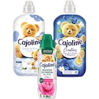 SUR TOUT - CAJOLINE dans le catalogue Carrefour Market