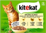 Katze Nassfutter von Kitekat im aktuellen Rossmann Prospekt für 2,99 €