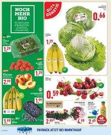 Pflanzen im Marktkauf Prospekt "Aktuelle Angebote" mit 20 Seiten (Bielefeld)