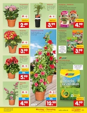 Dünger im Netto Marken-Discount Prospekt in Ahaus Aktueller Netto Marken-Discount Prospekt mit Dünger, "Aktuelle Angebote", Seite 27