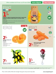 Offre Tulipes dans le catalogue Auchan Hypermarché du moment à la page 23