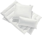 Aktuelle Kopfkissen Angebote bei BRAUN Möbel-Center in Reutlingen Aktuelles Ganzjahresbett Angebot bei BRAUN Möbel-Center in Reutlingen ab 39,95 €