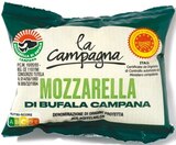 Aktuelles Mozzarella Di Bufala Campana Angebot bei Netto mit dem Scottie in Dresden ab 1,99 €