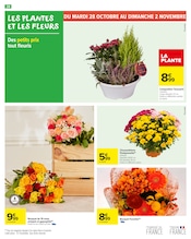 Chrysanthèmes Angebote im Prospekt "PRODUITS LAITIERS & VÉGÉTAUX !" von Carrefour Market Chrysanthèmes Angebote im Prospekt "PRODUITS LAITIERS & VÉGÉTAUX !" von Carrefour Market auf Seite 30