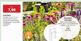 STAUDEN-STÜTZEN Angebote bei PROFI Wesch Mühlhausen für 4,99 €