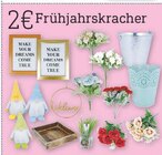 Aktuelles Frühjahrskracher Dekoration Angebot bei diska in Dresden ab 2,00 €