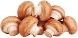 Braune Bio Champignons Angebote von REWE Bio bei REWE Hamm für 1,79 €