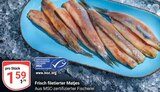 Frisch filetierter Matjes im Angebot bei GLOBUS in Saarbrücken Frisch filetierter Matjes Angebote bei GLOBUS Saarbrücken für 1,59 €