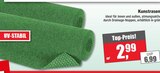 Kunstrasen im Angebot bei Wilhelm Pelster GmbH & Co. KG in Marl Kunstrasen Angebote bei Wilhelm Pelster GmbH & Co. KG Marl für 2,99 €