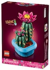 Botanicals Cactus Fleuri - LEGO - Super U à Caen Botanicals Cactus Fleuri - LEGO en promo chez Super U Caen à 19,99 €