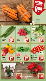 Pflanzen im REWE Prospekt "Dein Markt" mit 24 Seiten (Nürnberg)