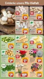 Ähnliche Balkonpflanzen Angebote im Prospekt "Dein Markt" von REWE in Aschaffenburg Ähnliche Angebote wie Balkonpflanzen im Prospekt "Dein Markt" auf Seite 7 von REWE in Aschaffenburg