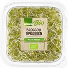 EDEKA Lahr - Broccolisprossen Angebot im Prospekt Broccolisprossen bei EDEKA im Lahr Prospekt für 1,11 €