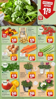 Kürbis im aktuellen REWE Prospekt (Siegen (Universitätsstadt)) Kürbis im REWE Prospekt "Dein Markt" mit 30 Seiten (Siegen (Universitätsstadt))