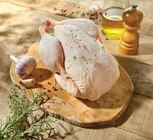 Promo POULET FERMIER DU GERS LABEL ROUGE IGP à 6,49 € dans le catalogue Intermarché Contact à Pont-Aven