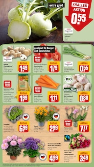 Pflanzen im REWE Prospekt "Dein Markt" mit 20 Seiten (Freiburg (Breisgau))
