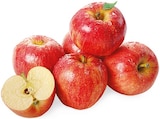 Aktuelle Äpfel Angebote bei REWE in Münster Aktuelles Snack Äpfel Angebot bei REWE in Münster ab 1,99 €