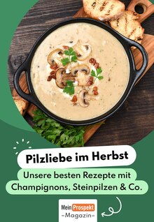 Aktueller Rezepte Prospekt (Schwedt (Oder), 1 Seite zum blÀttern Rezepte Prospekt Pilz mit 1 Seite