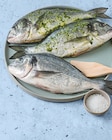 Aktuelle Lachs Angebote bei tegut in Mannheim Aktuelles Bio-Dorade Angebot bei tegut in Mannheim ab 2,49 €