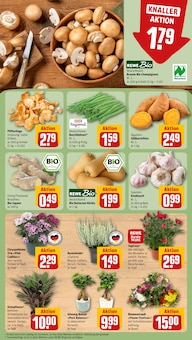 Pflanzen im aktuellen REWE Prospekt (Aachen) Pflanzen im REWE Prospekt "Dein Markt" mit 26 Seiten (Aachen)