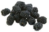 Brombeeren von Driscolls für 1,49 € bei REWE im Angebot Brombeeren von Driscolls im aktuellen REWE Prospekt