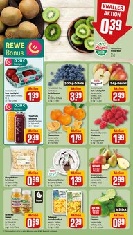 Saft im aktuellen REWE Prospekt (Fürth) Saft im REWE Prospekt "Dein Markt" mit 16 Seiten (Fürth)