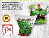 Aktuelle Salat Angebote bei GLOBUS in Duisburg Aktuelles Buttersalat/Kopfsalat Angebot bei GLOBUS in Duisburg ab 1,29 €