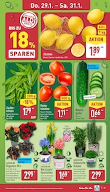 Garten im ALDI Nord Prospekt in Bremerhaven Aktueller ALDI Nord Prospekt mit Garten, "Aktuelle Angebote", Seite 29