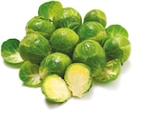 Netto mit dem Scottie Kiel - Rosenkohl Angebot im Prospekt Rosenkohl bei Netto mit dem Scottie im Kiel Prospekt für 1,29 €