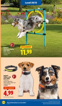 Promo Corbeille Chien dans le catalogue Lidl du moment à la page 72
