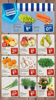 Kräuter im nahkauf Prospekt "nichts liegt näher" mit 8 Seiten (Düsseldorf)