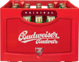 Aktuelle Bier Angebote bei Netto Marken-Discount in Neumünster Aktuelles Original Czech Imported Lager Angebot bei Netto Marken-Discount in Neumünster ab 12,99 €