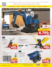Rasenmäher im Netto Marken-Discount Prospekt in Neumünster Aktueller Netto Marken-Discount Prospekt mit Rasenmäher, "Aktuelle Angebote", Seite 45
