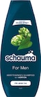 Rossmann Torfhaus - Shampoo Angebot im Prospekt Shampoo bei Rossmann im Torfhaus Prospekt für 1,55 €