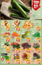 Dekoration Angebot im aktuellen REWE Prospekt auf Seite 7