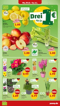 Bio Sellerie Angebot im aktuellen Penny Prospekt auf Seite 3