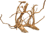 Promo 20% DE REMISE Sur toutes les décorations naturelles et sables Aquasable Antinéa à  dans le catalogue Maxi Zoo à Saint-Dié-des-Vosges
