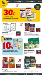 Das Futterhaus Hundefutter im Prospekt 