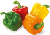 REWE Regional im REWE Prospekt Paprika von REWE Regional im aktuellen REWE Prospekt für 3,99 €