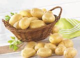 Promo Pomme de terre de consommation à chair ferme à 1,99 € dans le catalogue U Express à Corbreuse
