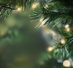 Hänger »Pluto« bei Pflanzen Kölle im Neuenhagen Prospekt für 9,99 €