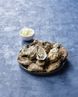 Huîtres spéciales de Normandie IGP - U Saveurs - Super U à Roanne Huîtres spéciales de Normandie IGP - U Saveurs en promo chez Super U Roanne à 9,20 €